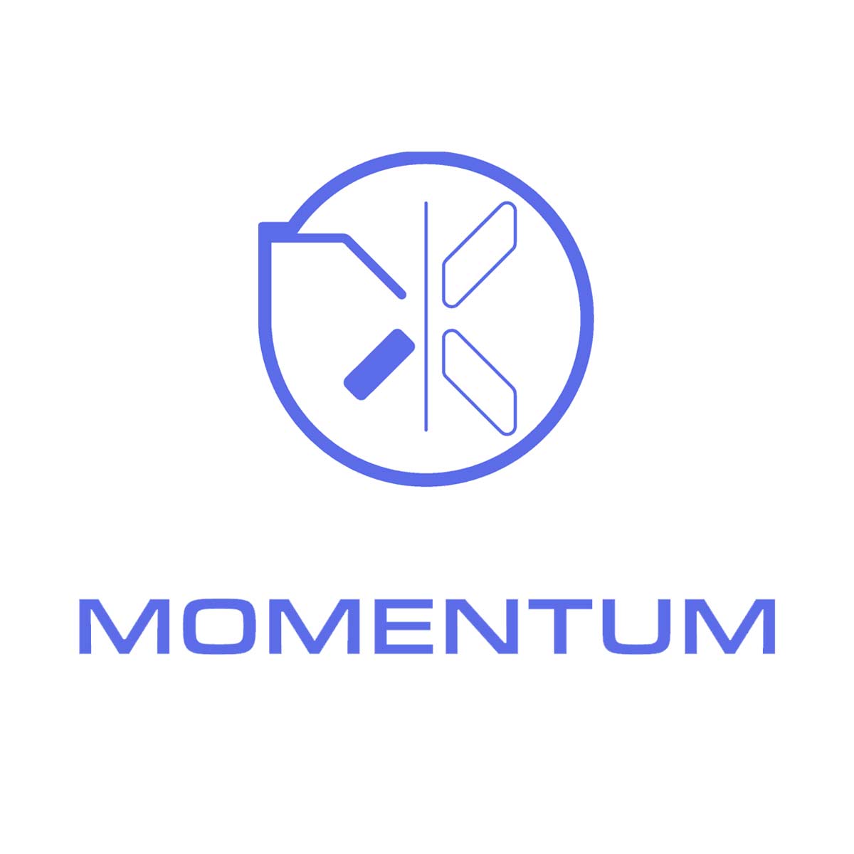 Momentum